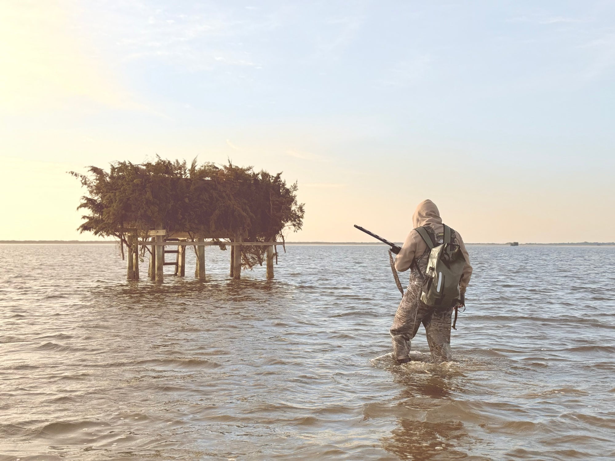 Hunting